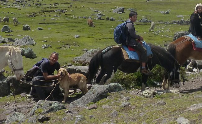 TOUR CUSCO MEDIO DIA A CABALLO