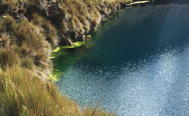 LAGUNA YANACOCHA (FULL DAY TREKKING)