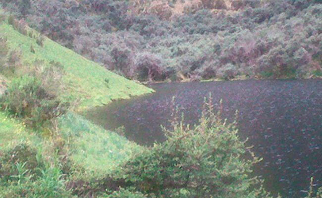 LAGUNA YANACOCHA (TODO EL DIA)